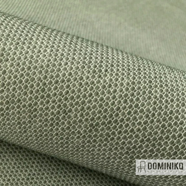 Vyva Fabrics - Pukka - 5020 - Fennel